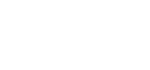 Synergi Partners